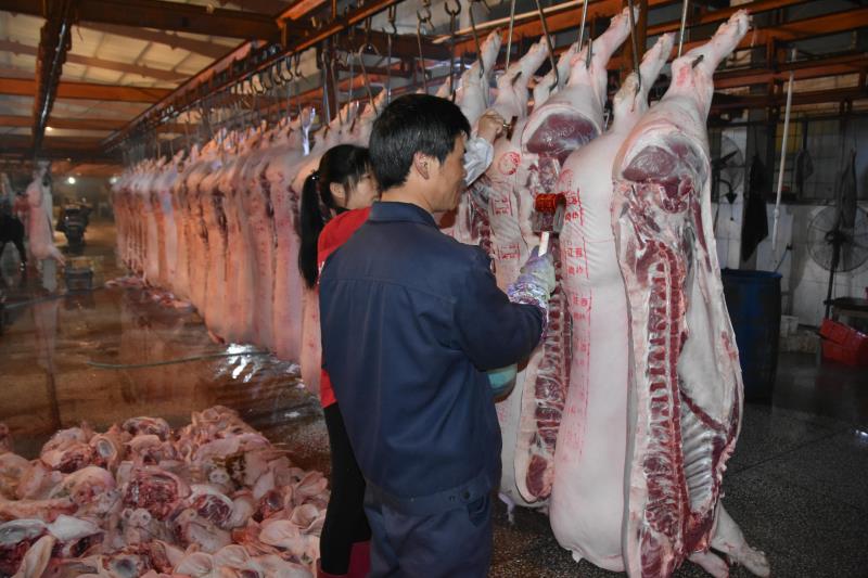 屠宰场如何利用蒸汽发生器进行猪肉脱毛？