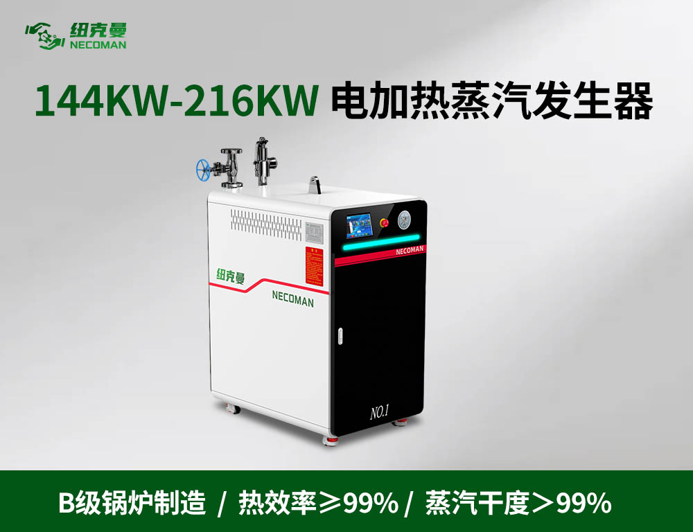200kg-300kg 电蒸汽发生器