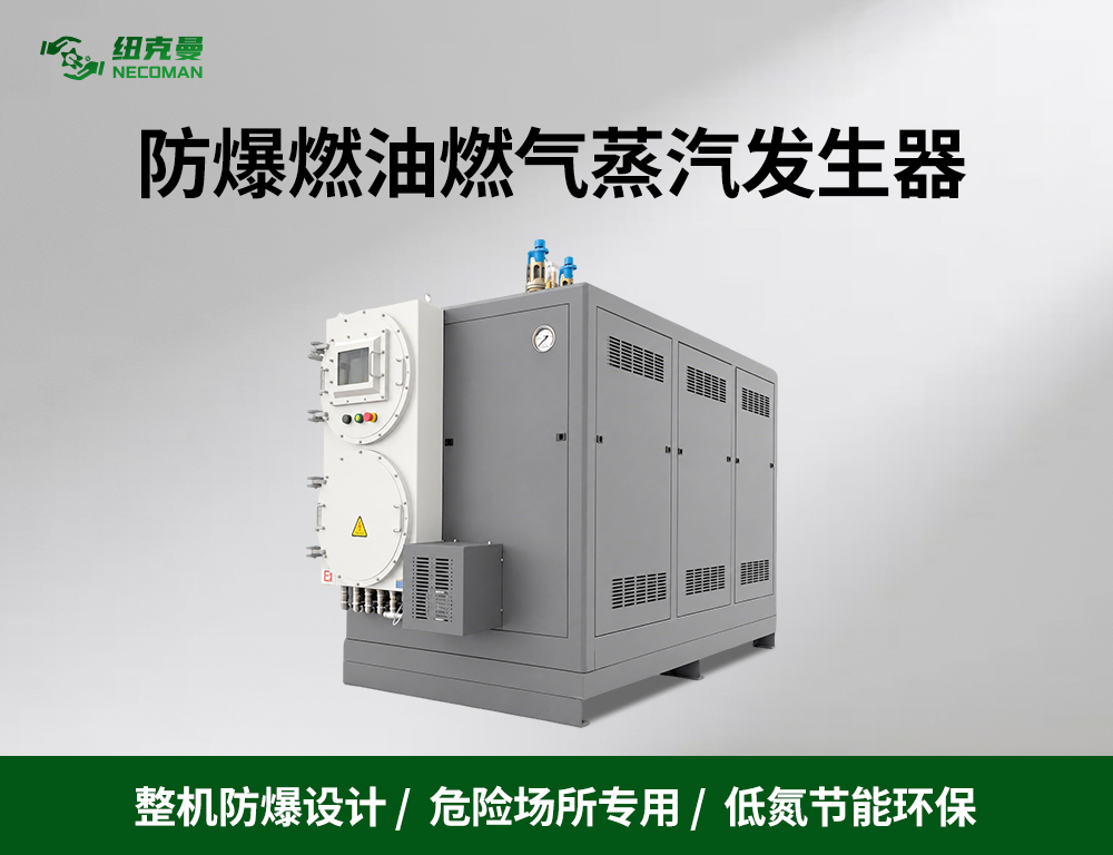 防爆燃油燃气蒸汽发生器