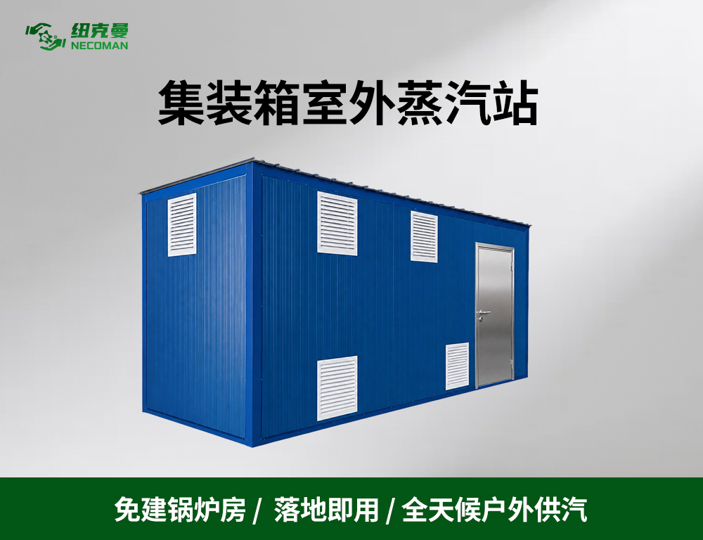 集装箱室外蒸汽站